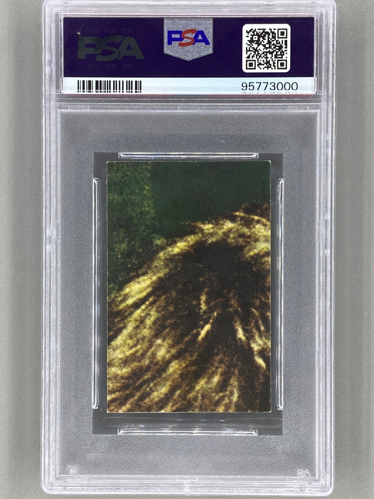 1967 Nummerbilder #5 The Beatles Svarta Nummer PSA 6 Pop 2 (Music)