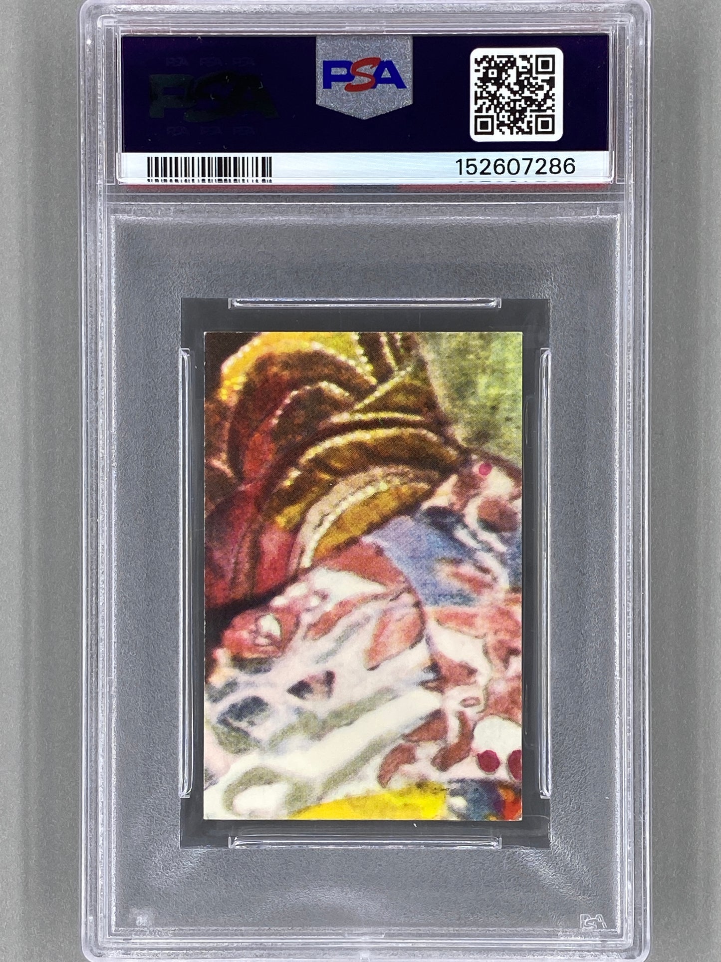 1967 Nummerbilder #27 Jimi Hendrix Svarta Nummer PSA 6 Pop 4 (Music)