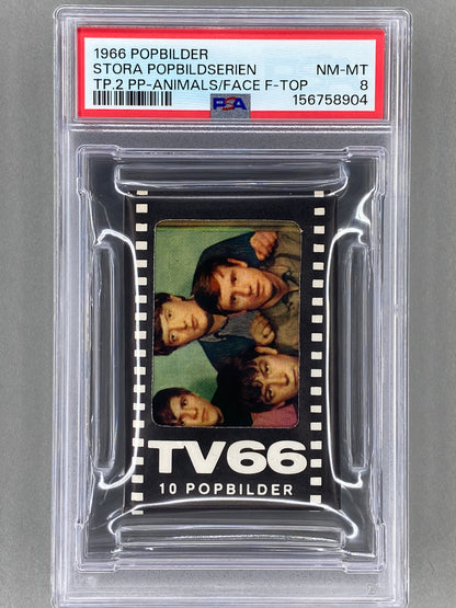 1966 Pack - TV66 Popbilder Stora Popbildserien Type 2 PSA 8 (Music)