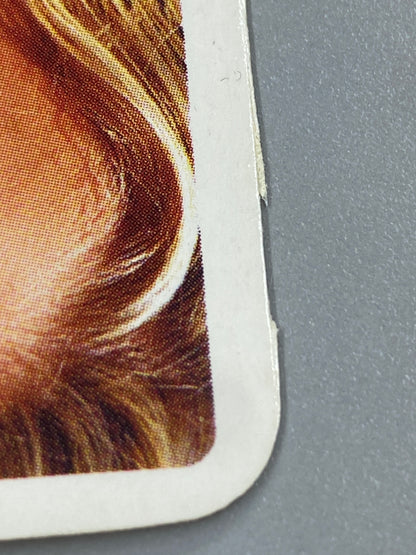 2004 Bravo Star Cards Jessica Simpson 6 of Clubs Nestle Joe *READ* (Romania) (Music)