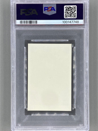 1974 Popbilder #731 Queen Utan Punkt II PSA 8 Pop 3 (Music)