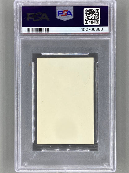 1979 Popbilder #45 Blondie Med Punkt I PSA 8 Pop 5 (Music)