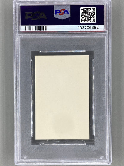 1980 Popbilder #503 Blondie Med Punkt V PSA 9 Pop 1 (Music)
