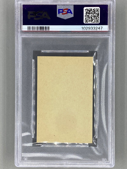 1974 Seriebilder Serie P #32 Cat Stevens (Printed in Holland) HC PSA 8 Pop 1 (Music)