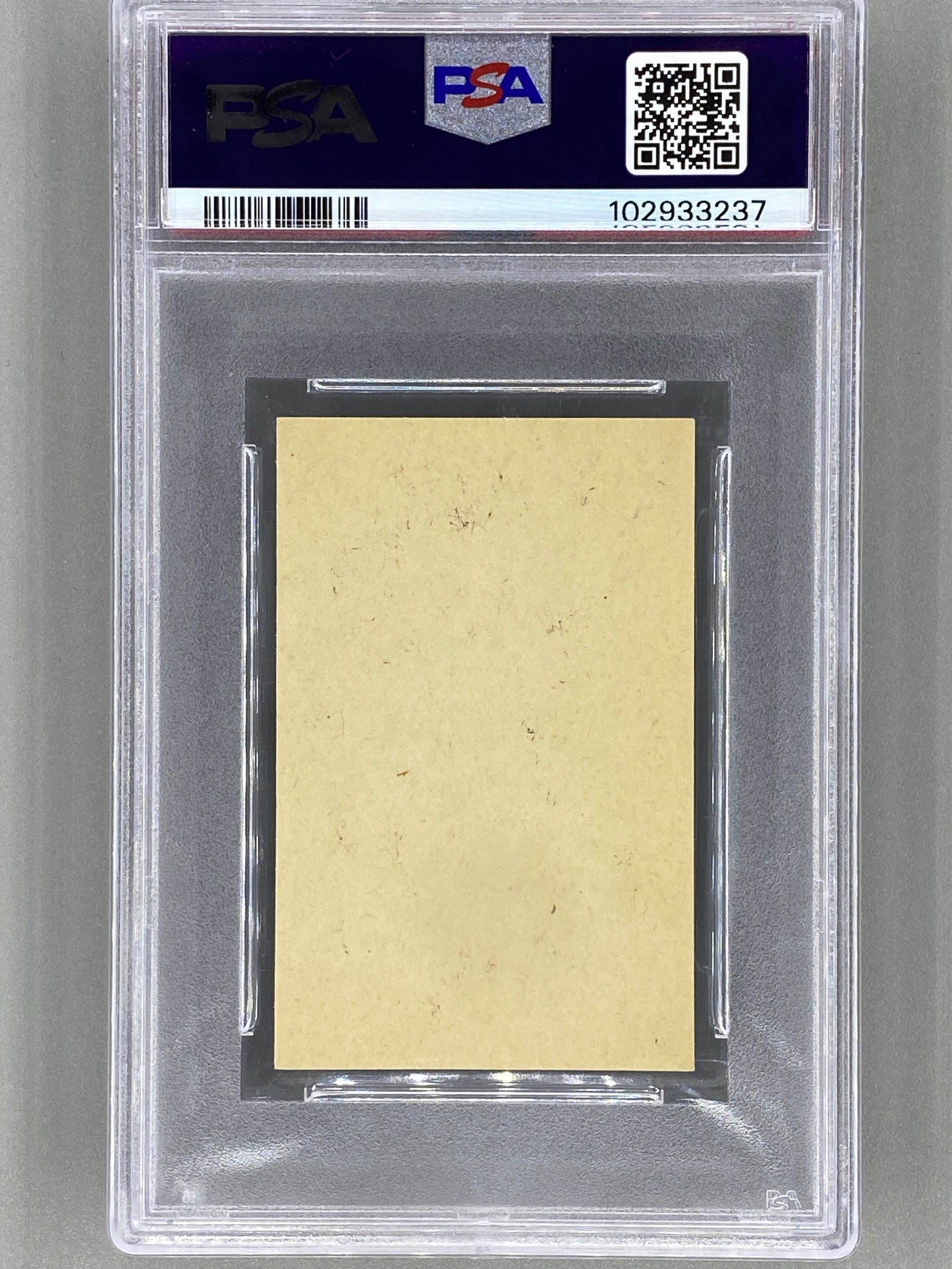 1974 Seriebilder Serie P #52 Alice Cooper (Printed in Holland) PSA 8 Pop 1 (Music)