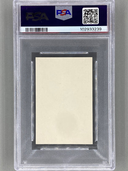1980 Popbilder #519 Bruce Springsteen Med Punkt V PSA 5 Pop 4 (Music)