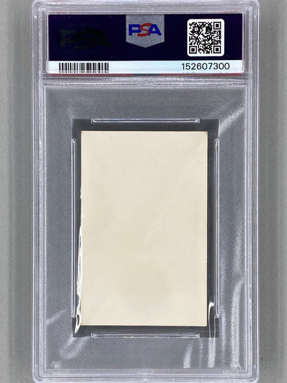 1965 TV Film-Idoler The Beatles Yellow Bgd Horizontal PSA 5 Pop 3 (Music)